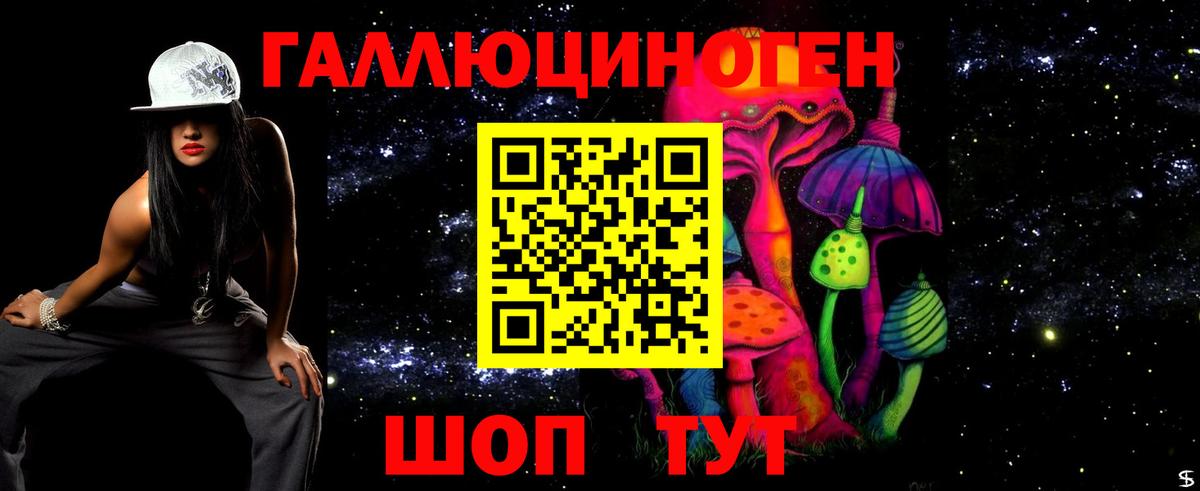 цена наркотик  Вход с VPN  Новотроицк  Псилоцибиновые грибы мицелий 